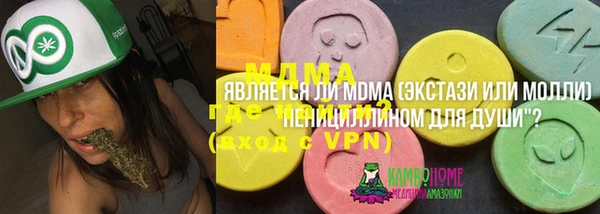 хмурый Инта