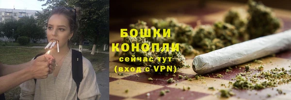 ГАЛЛЮЦИНОГЕННЫЕ ГРИБЫ Иннополис
