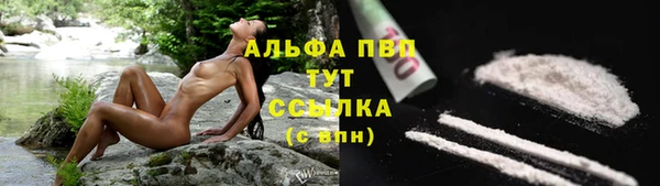 хмурый Инта