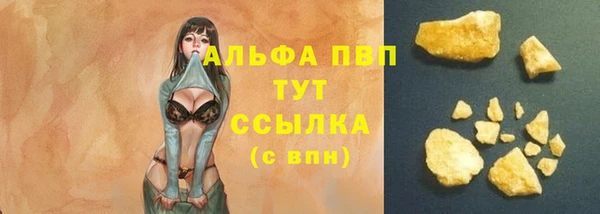 ГАЛЛЮЦИНОГЕННЫЕ ГРИБЫ Иннополис