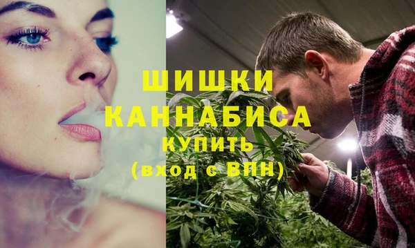 ГАЛЛЮЦИНОГЕННЫЕ ГРИБЫ Иннополис