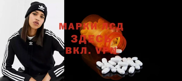хмурый Инта