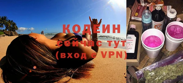 хмурый Инта