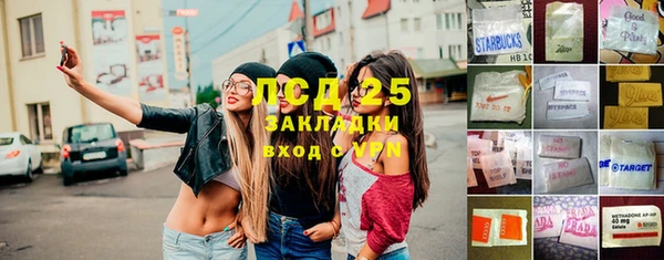 ГАЛЛЮЦИНОГЕННЫЕ ГРИБЫ Иннополис