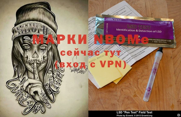 хмурый Инта