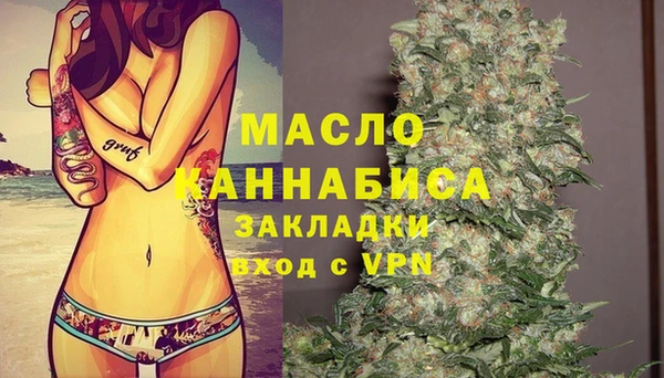 хмурый Инта